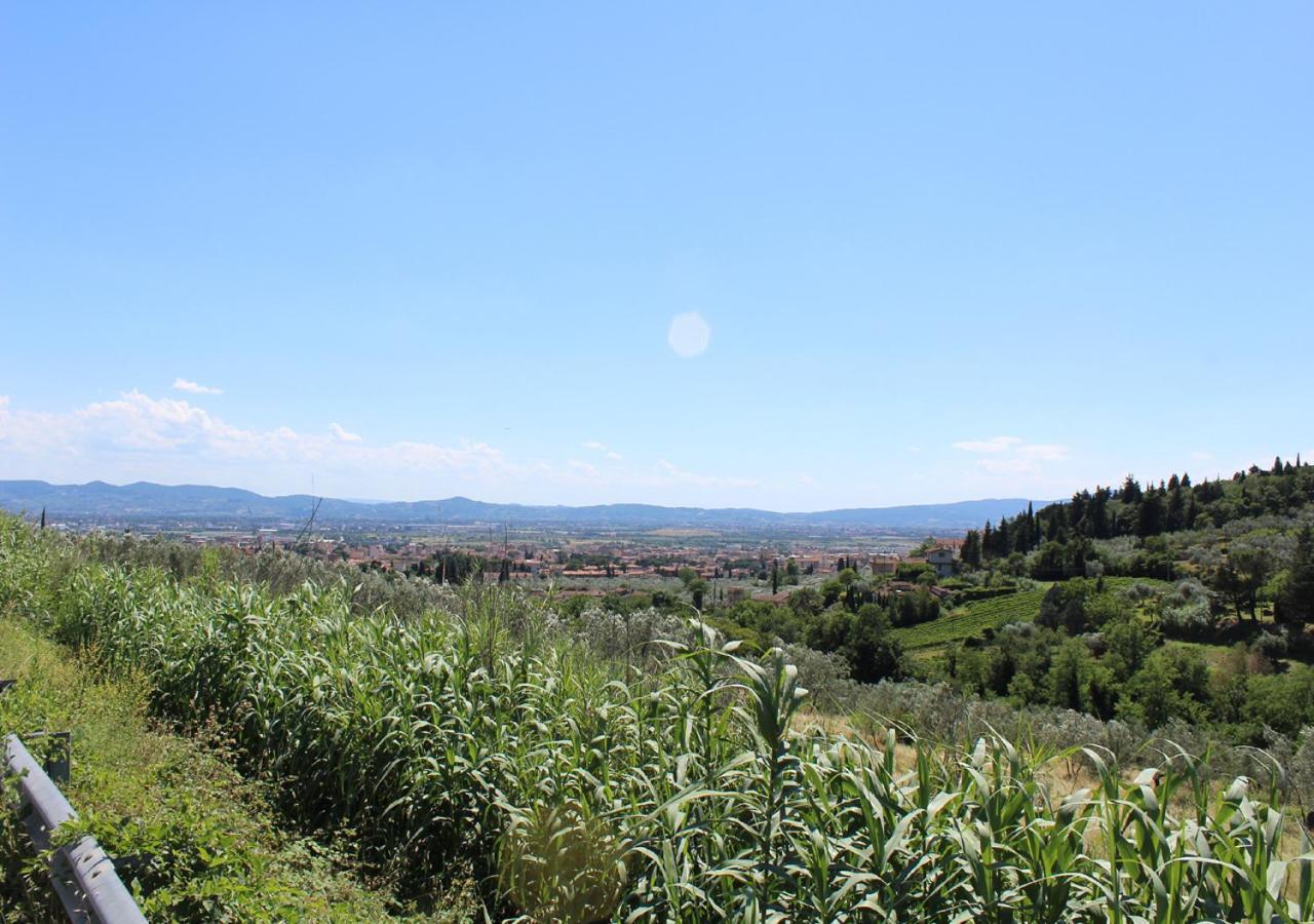 Bed and Breakfast Ulivo Rosso Sesto Fiorentino Exteriér fotografie